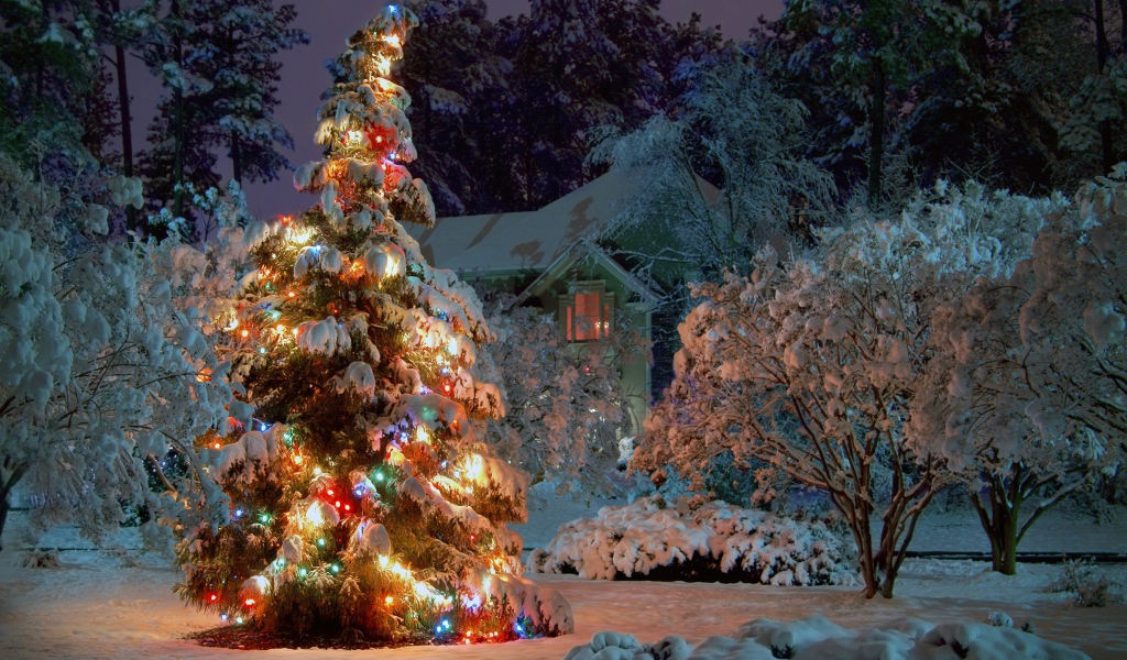 Новогодняя елка в ночном лесу