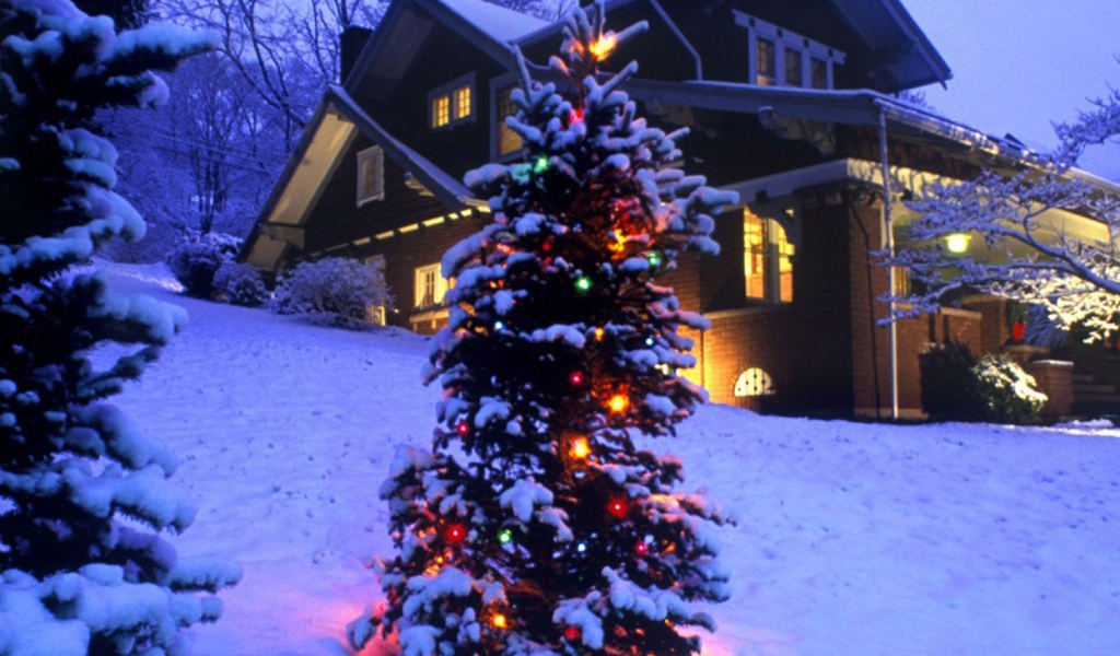 Новогодняя елка в зимнем лесу