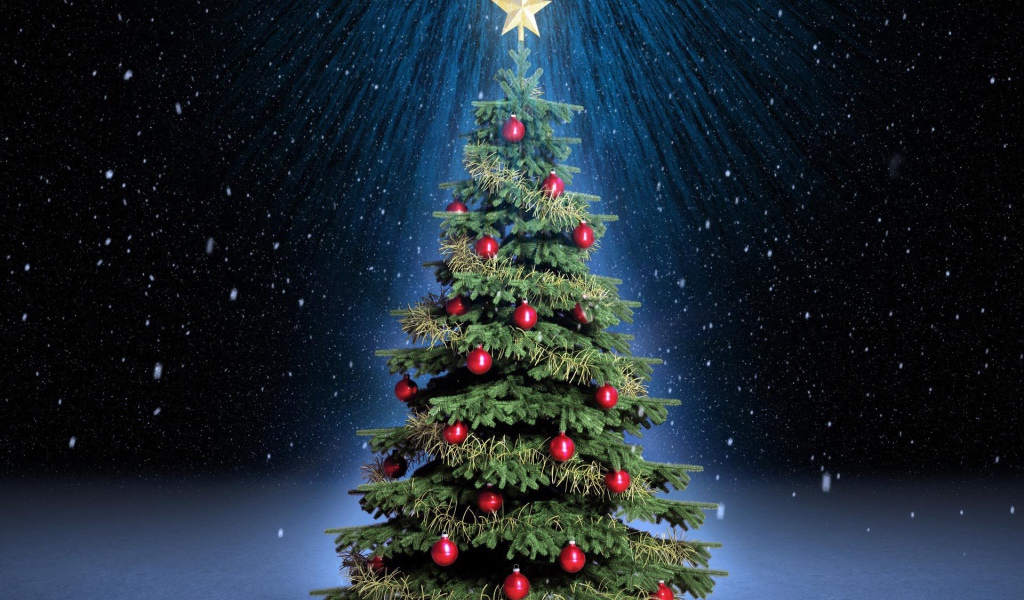Новогодняя елка под светом звезды