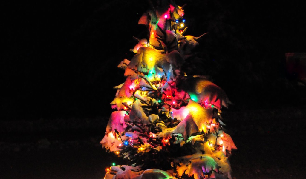 Наша маленькая Новогодняя елка