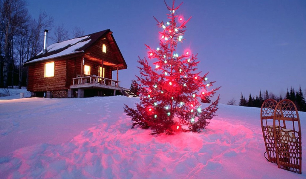 Колючии иголки на новогодней елке