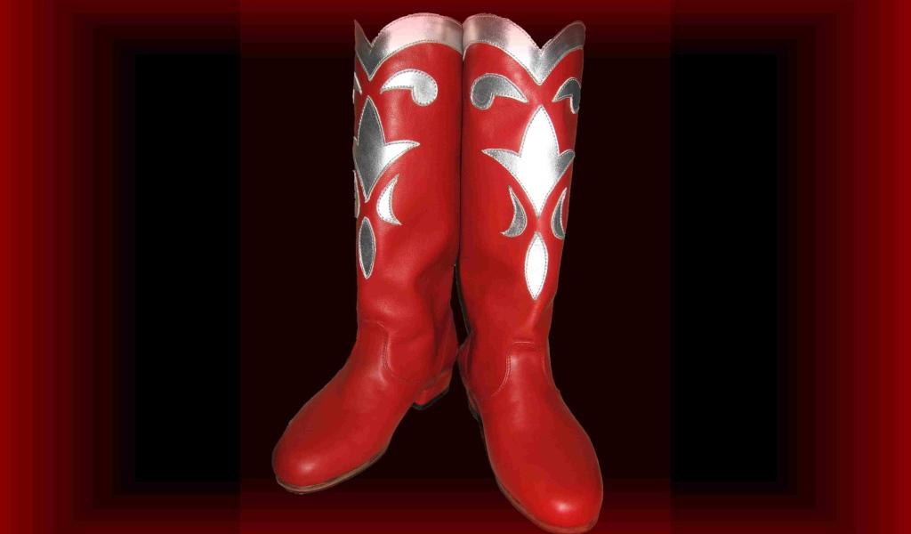 Cапоги деда мороза