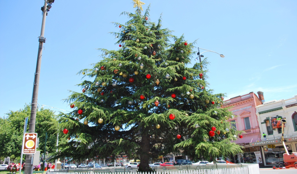 Красивая Новогодняя елка в жаркой стране