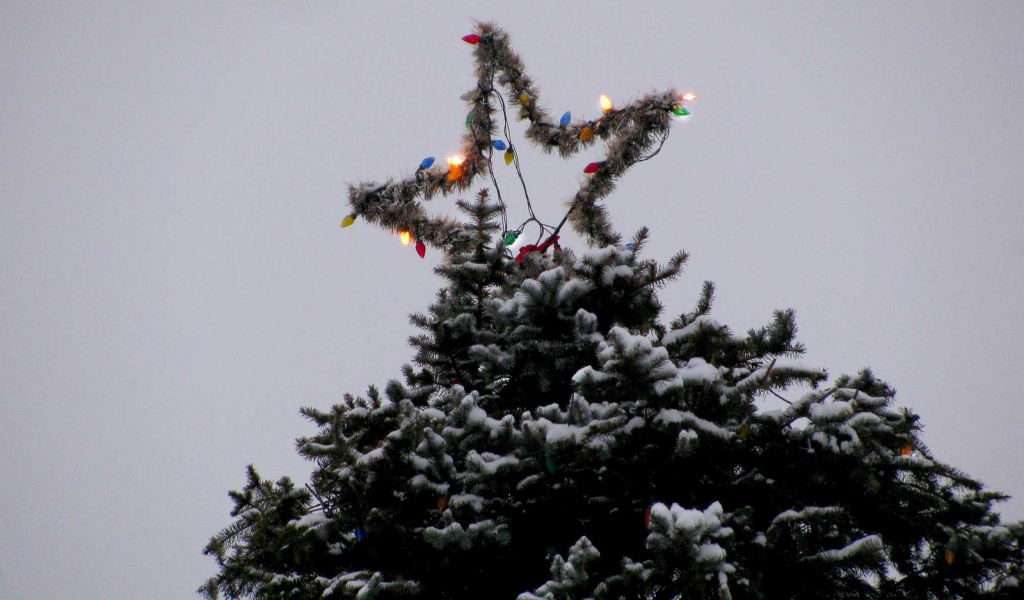 Звезда новогодней елки