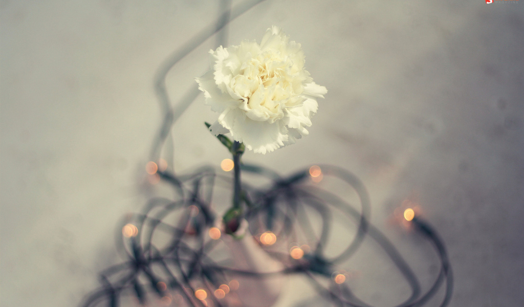 Цветок гирлянда