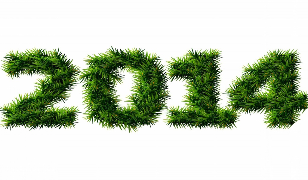 С Новым 2013-2014 годом