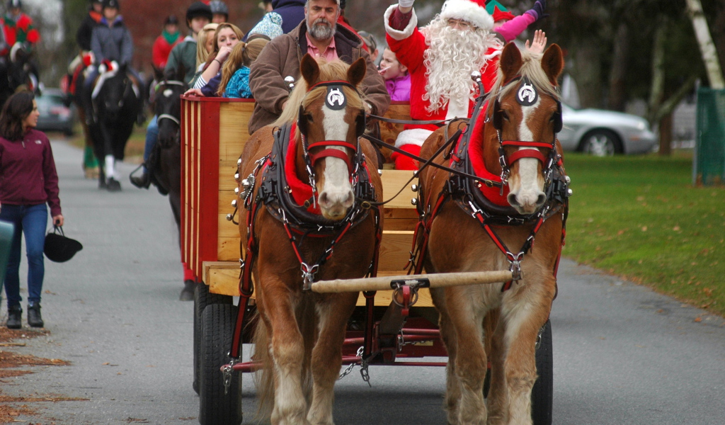 Дед мороз на лошади