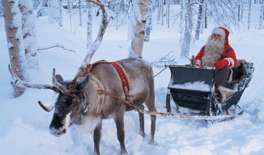 Дед мороз на санях