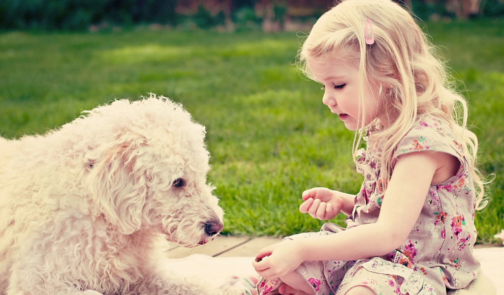 Девочка играет с собакой