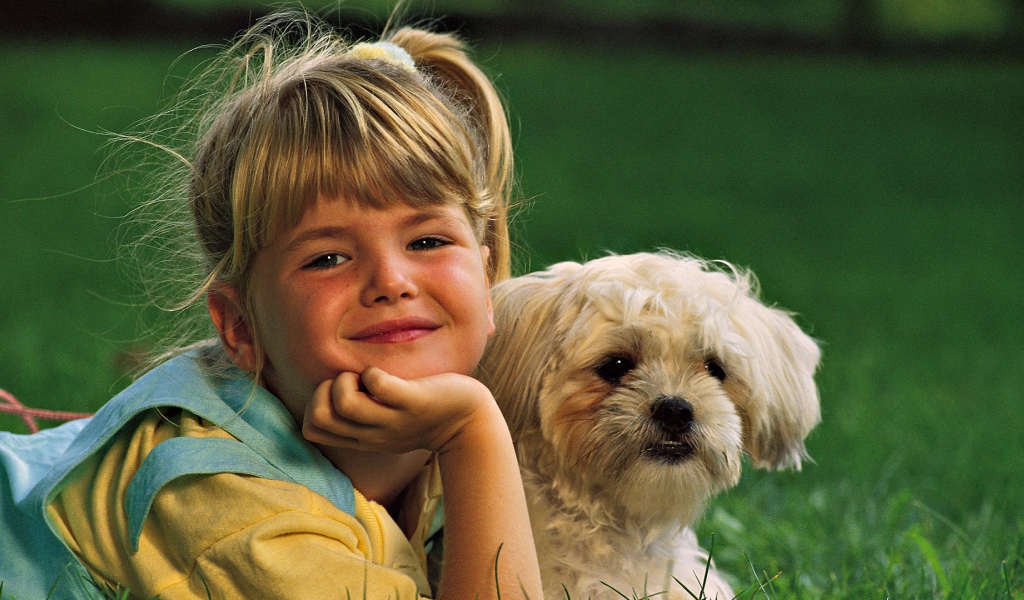 Девочка с белой собакой