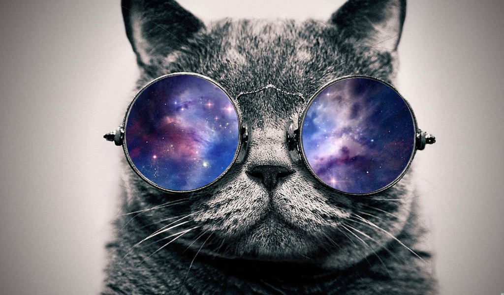 Кот в космосе