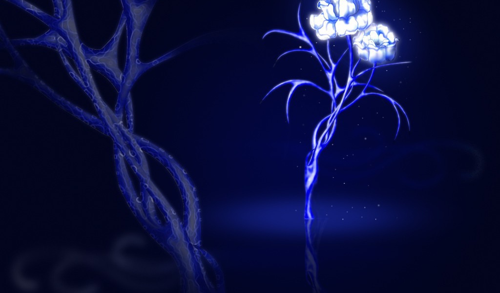 Цифровой рисунок с розами