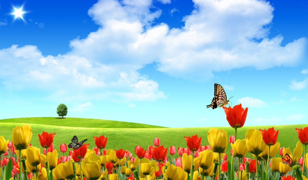 Абстрактные бабочки на тюльпанах