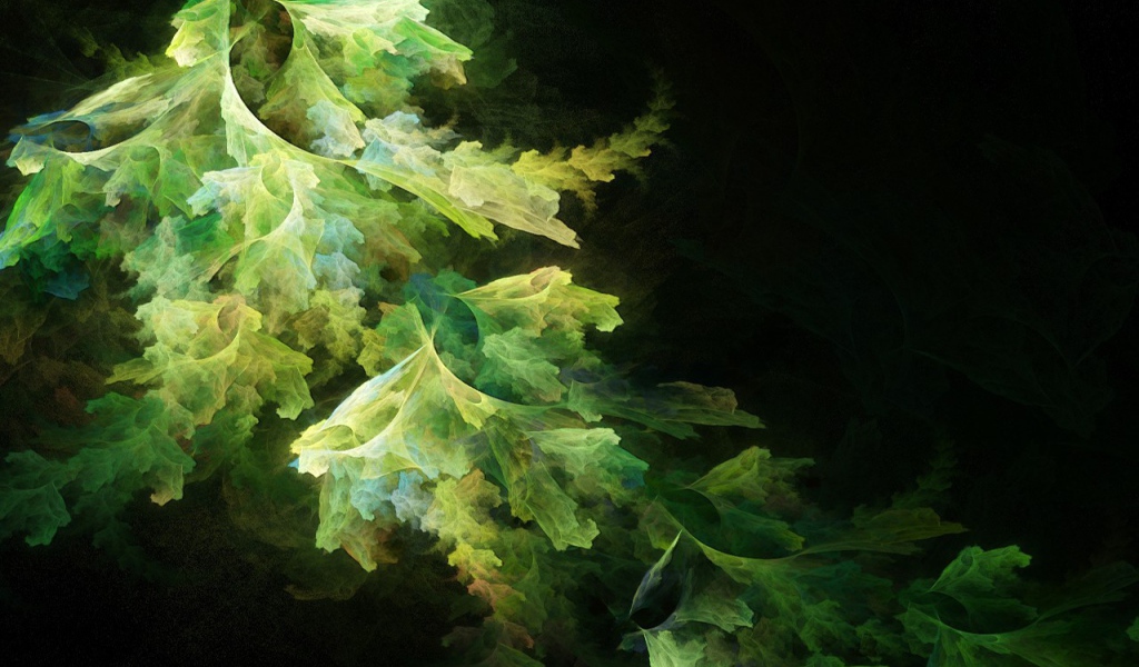 Абстрактные листья салата