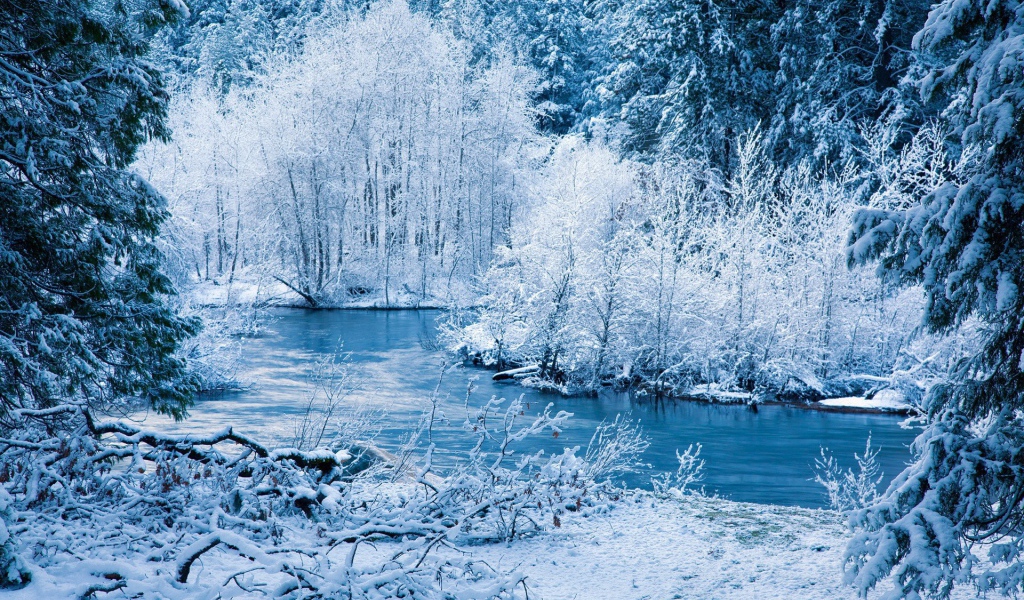 Вечерний зимний лес