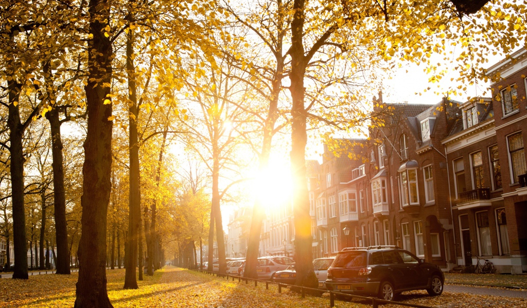 Осенний день в Утрехте