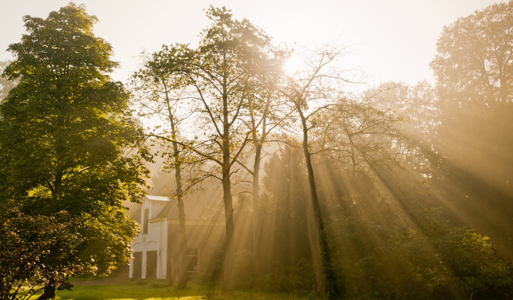 Солнце над Амстердамом