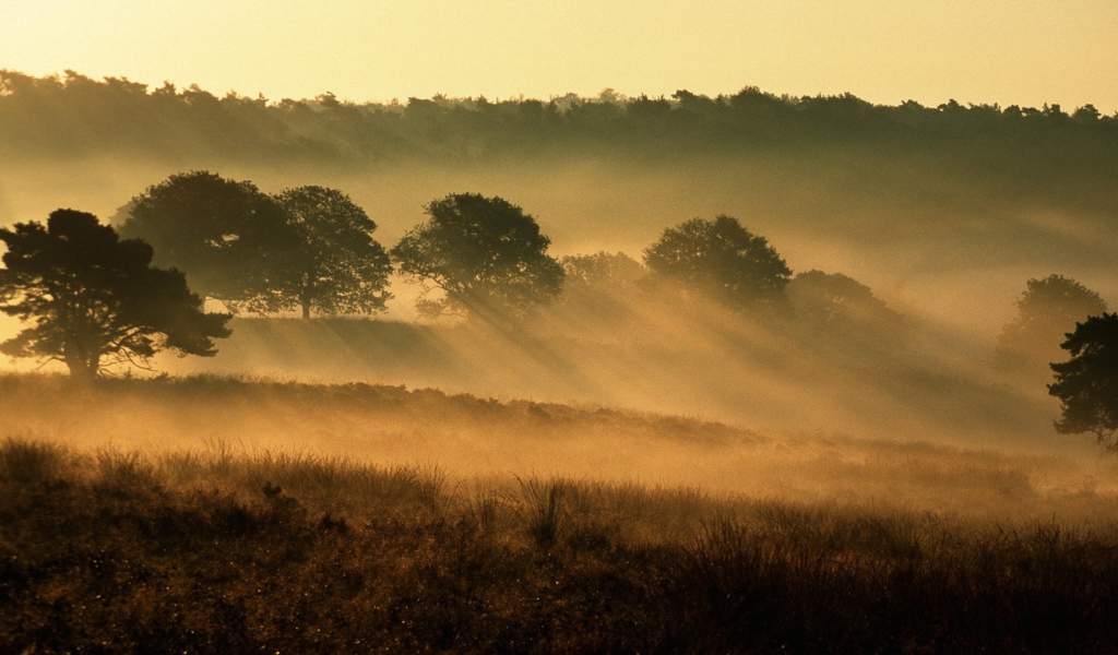 Национальный парк Нидерланды