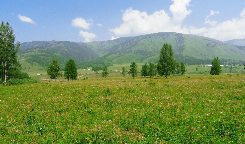 Российский пейзаж с холмами