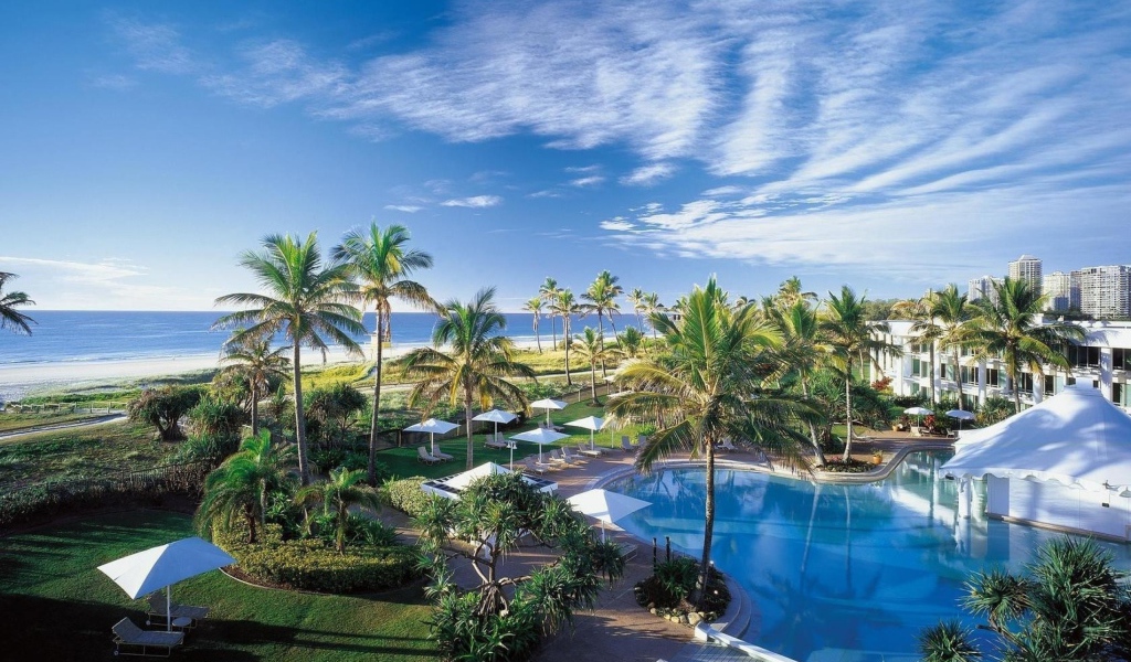 Отдых у моря под пальмами