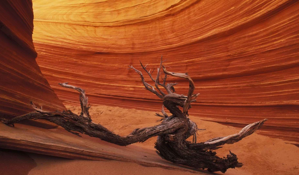 Причудливые формы каньона Антилопа