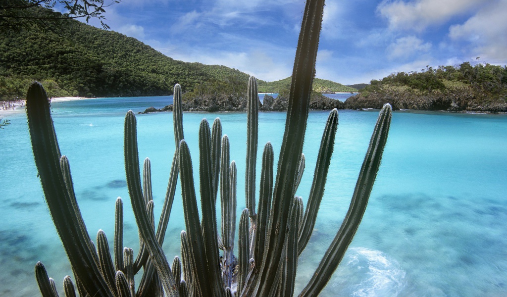 Национальный парк Вирджинии
