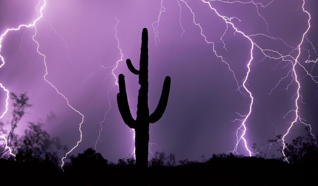 Гроза в Аризоне