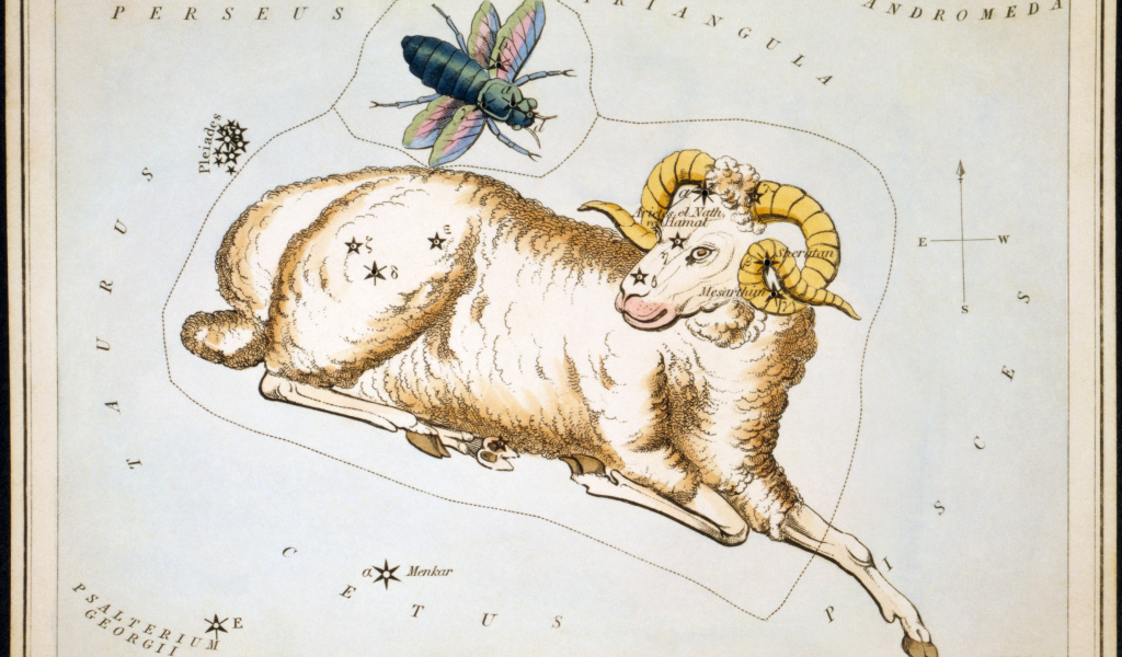 Овен на карте звёздного неба