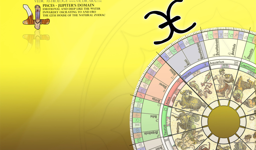 Знаки зодиака на жёлтом фоне