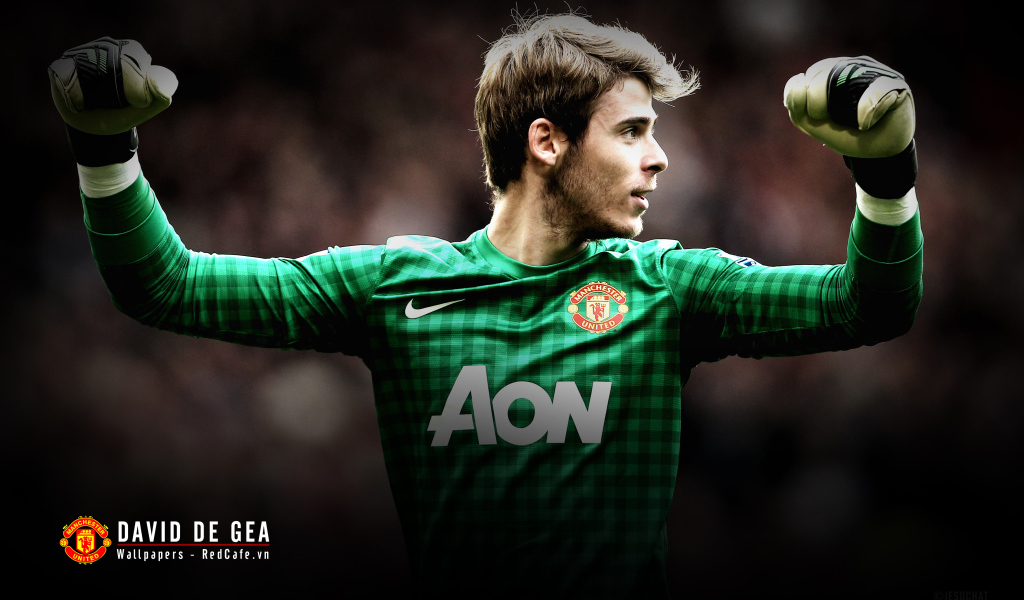 The goalkeeper of Manchester United David De Gea