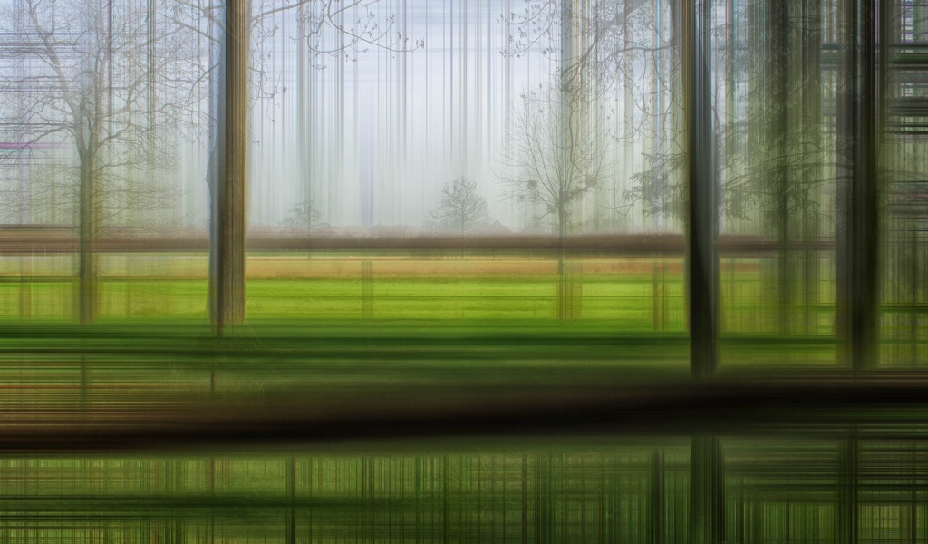 Размытый лес