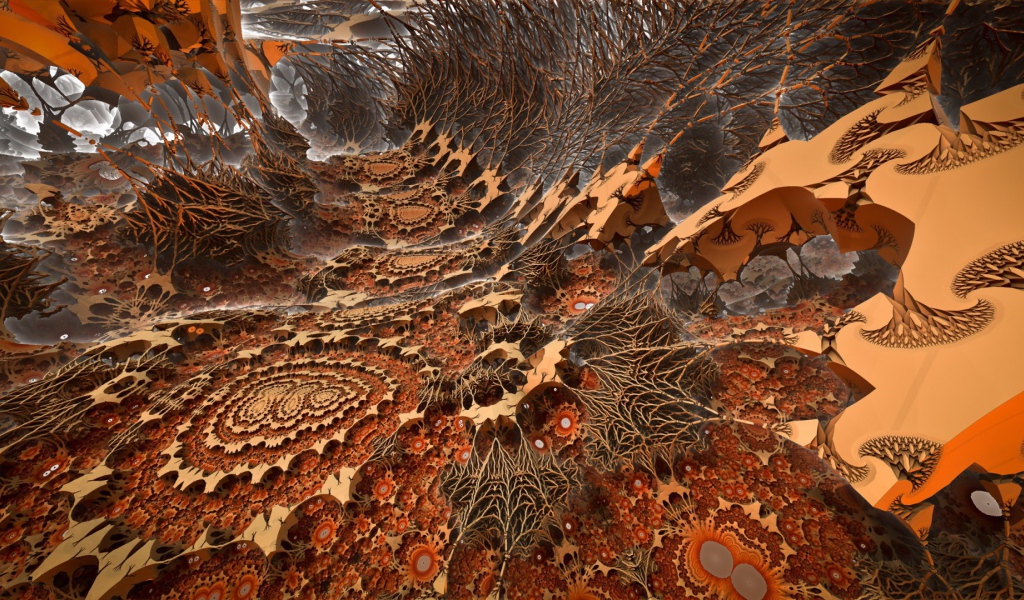 Загадочный мир корней