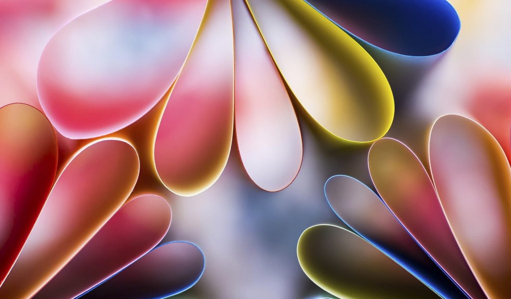 Лепестки цветов