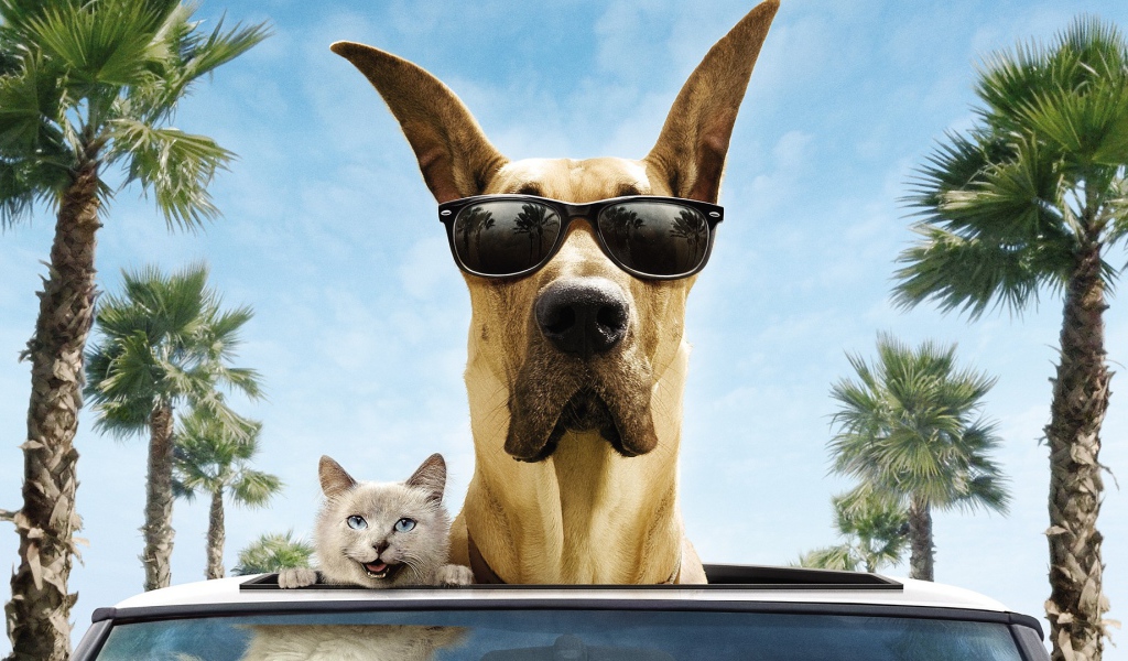 Животные герои фильма