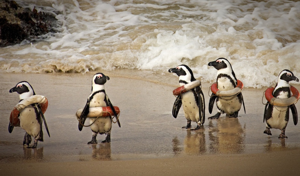 Cпасатели на льду