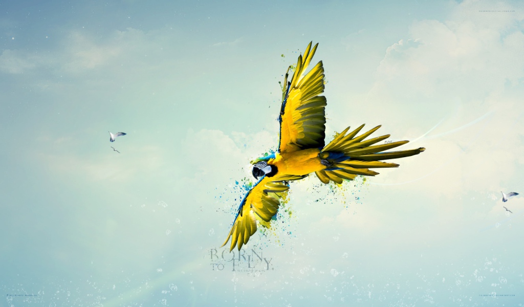 Рождена летать