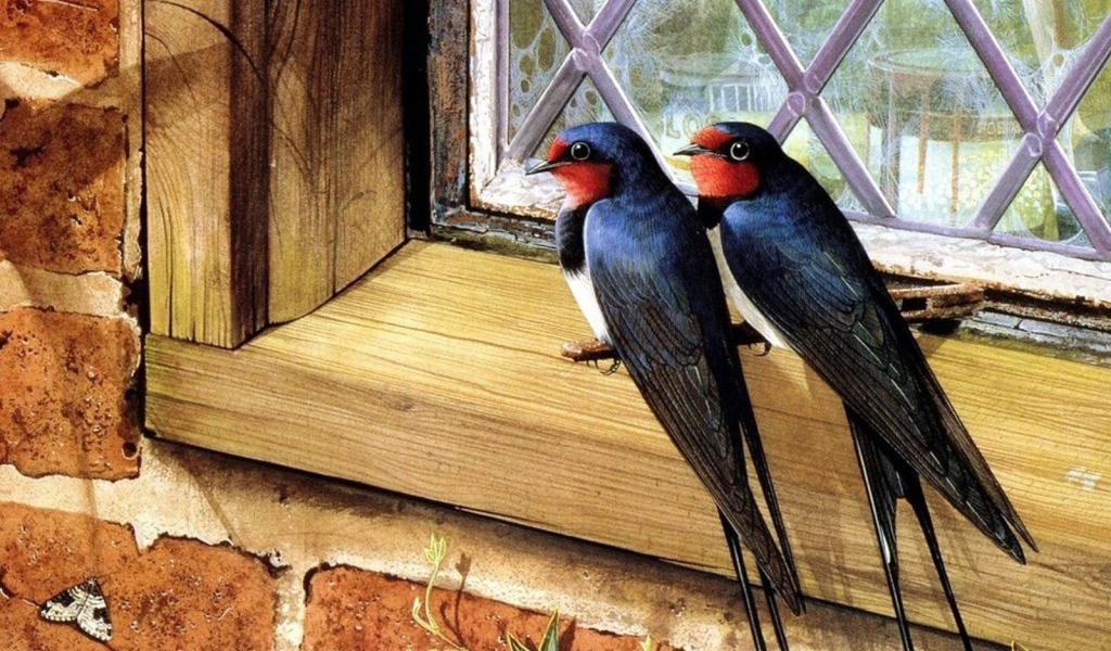 Пара птичек