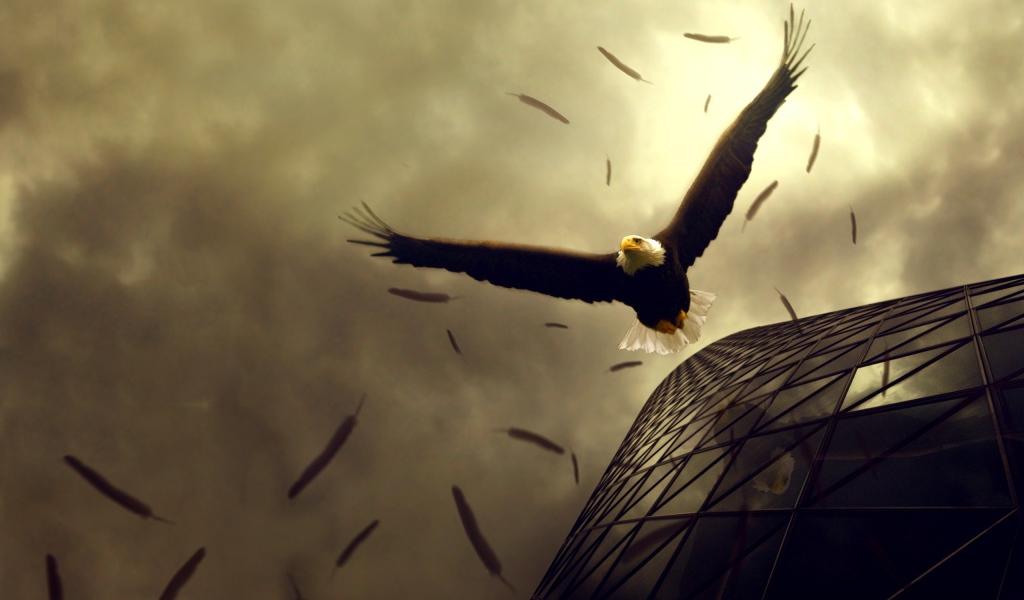 Полет орлов