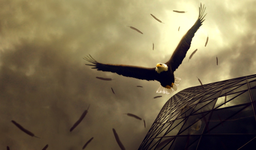 Орел теряет перья