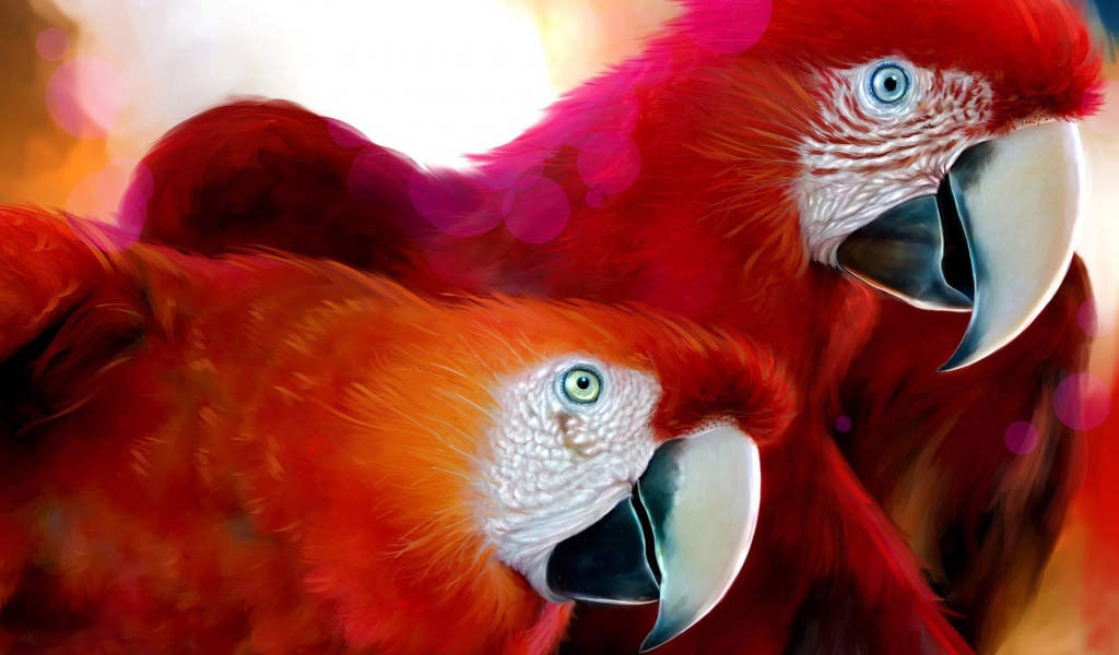 Обои с попугаями