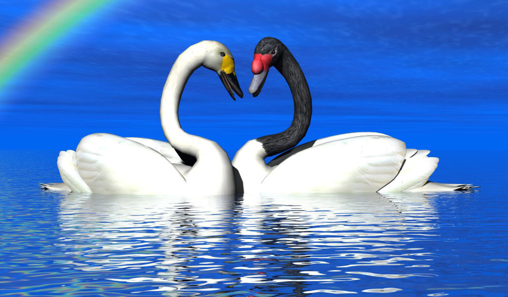 Лебеди под радугой