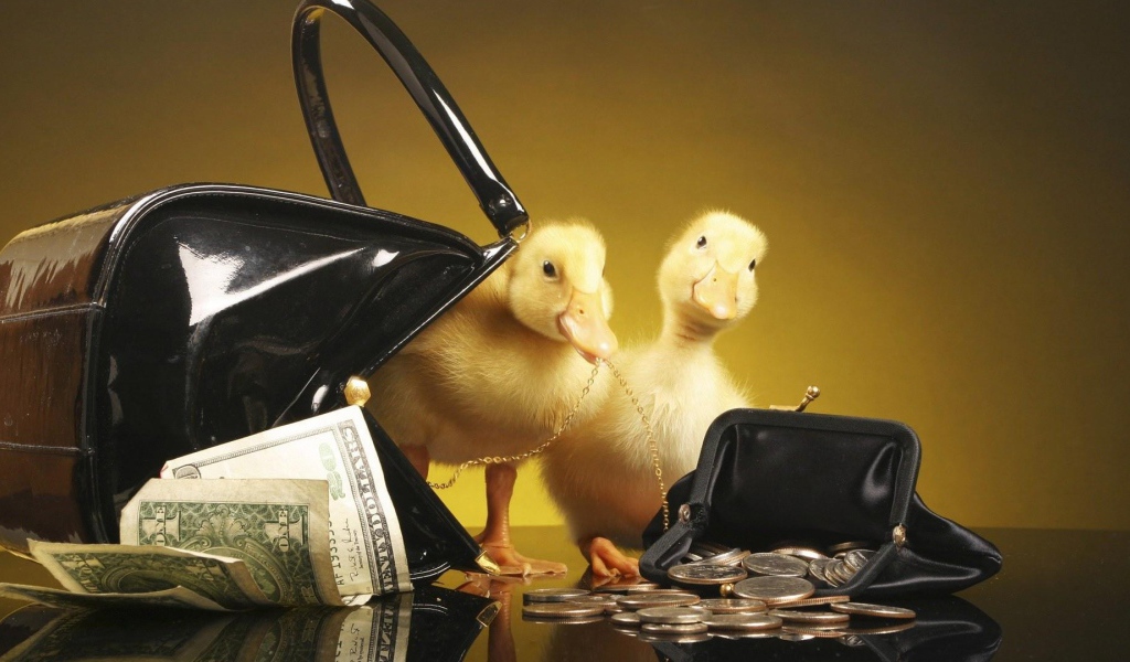 Утята у кошельков с деньгами