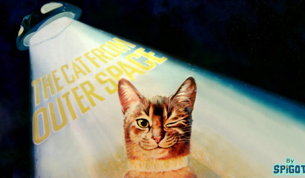 Кот подмигивает