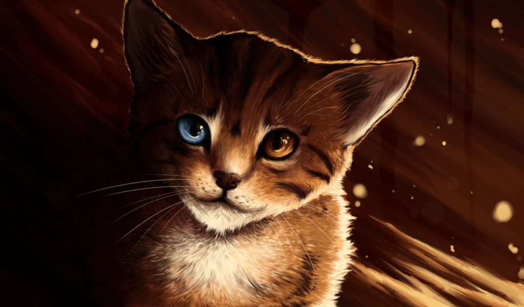 Кот с разными глазами