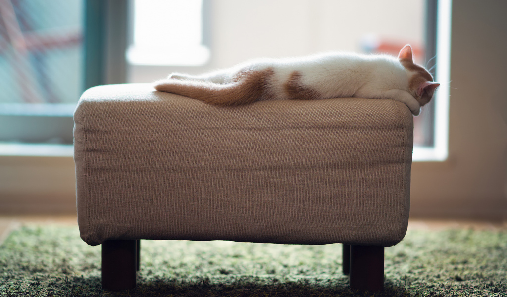 Котенок спит на пуфике