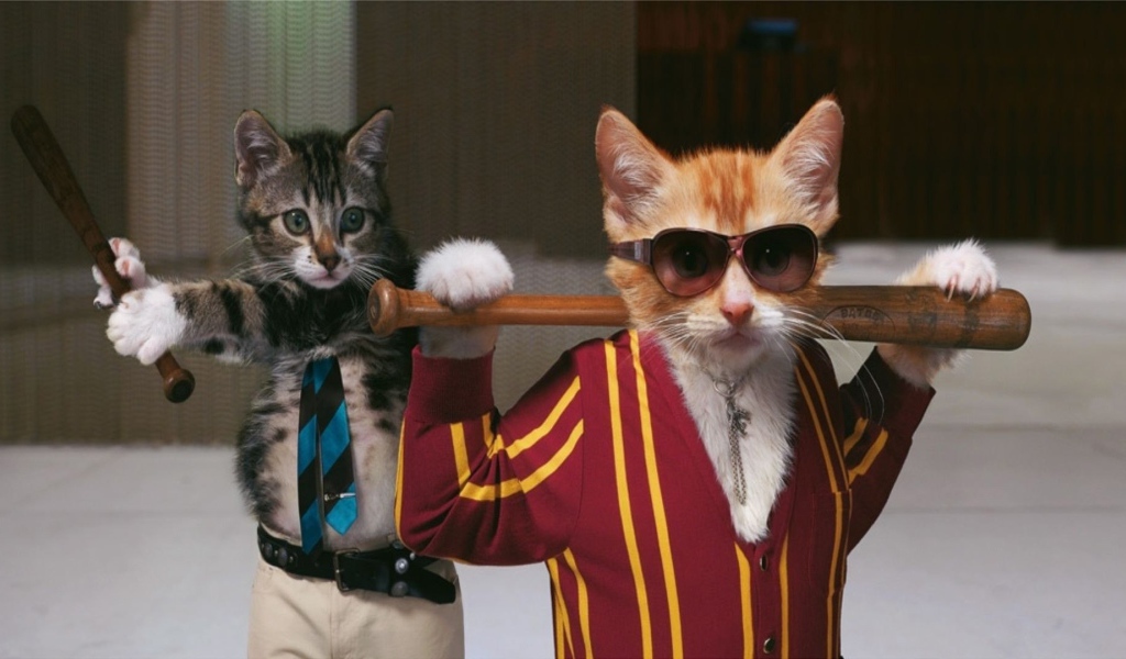 Коты с битами