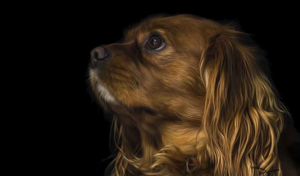 Коричневый кавалер кинг чарльз спаниель