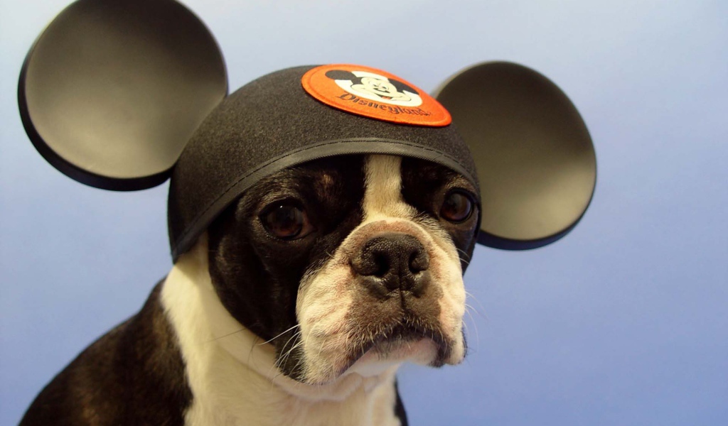 Собака Микки Маус