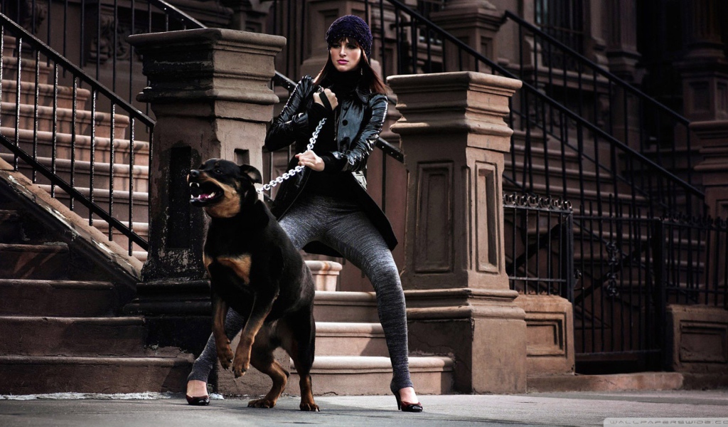 Девушка держит ротвейлера