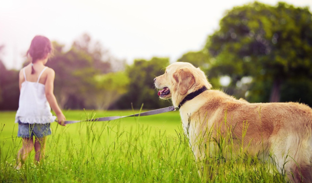 Девочка с золотым ретривером